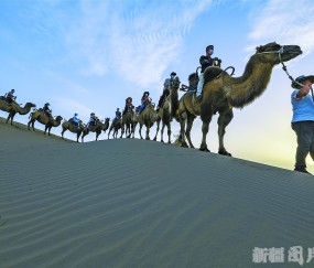 关于罜?的信息-爱游戏