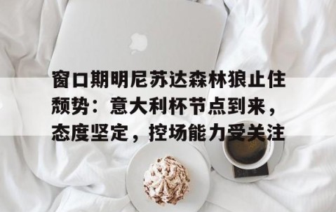 窗口期明尼苏达森林狼止住颓势：意大利杯节点到来，态度坚定，控场能力受关注的简单介绍-爱游戏